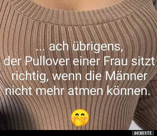 ...ach übrigens, der Pullover einer Frau sitzt richtig.. - Lustige Bilder | DEBESTE.de