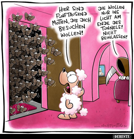 Hier sind fünftausend Motten, die dich besuchen.. - Lustige Bilder | DEBESTE.de