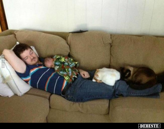  - Lustige Bilder | DEBESTE.de