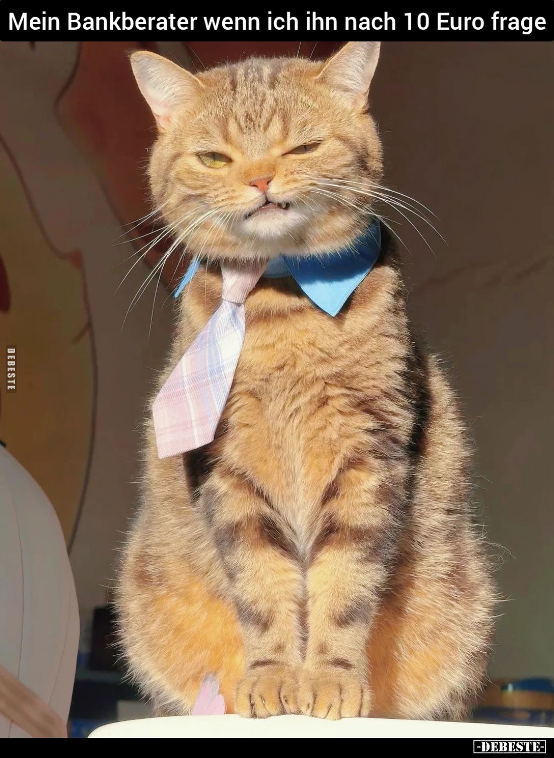 Mein Bankberater wenn ich ihn nach 10 Euro frage