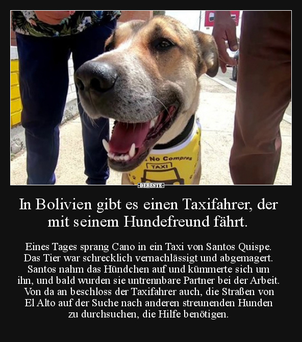 In Bolivien gibt es einen Taxifahrer, der mit seinem.. - Lustige Bilder | DEBESTE.de