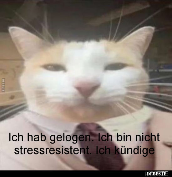 Ich hab gelogen. Ich bin nicht stressresistent.. - Lustige Bilder | DEBESTE.de