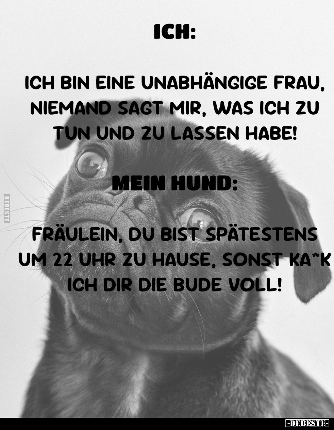 Ich:
Ich bin eine unabhängige Frau, niemand sagt mir, was ich zu tun und zu lassen habe! -
Mein Hund:
Fräulein, du bist sp...