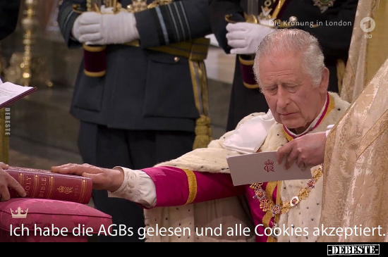 Ich habe die AGBs gelesen und alle Cookies akzeptiert... - Lustige Bilder | DEBESTE.de