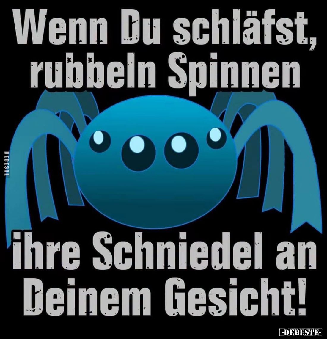 Wenn Du schläfst,
rubbeln Spinnen
ihre Schniedel an
Deinem Gesicht!