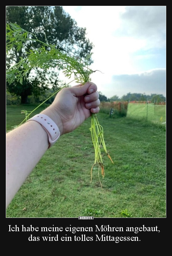 Jogginghose, Joggen, Küchenrolle, Küche