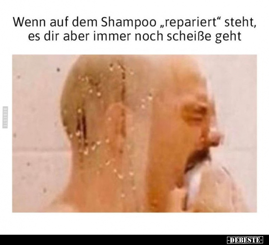 Wenn auf dem Shampoo "repariert" steht.. - Lustige Bilder | DEBESTE.de