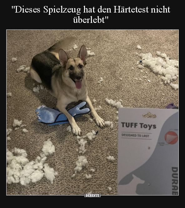 "Dieses Spielzeug hat den Härtetest nicht überlebt".. - Lustige Bilder | DEBESTE.de