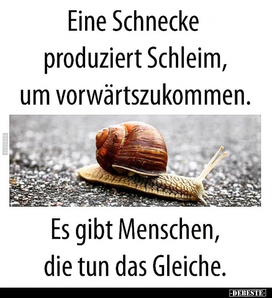 Eine Schnecke produziert Schleim, um vorwärtszukommen.. - Lustige Bilder | DEBESTE.de