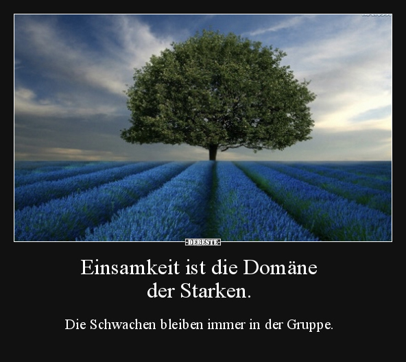 Einsamkeit ist die Domäne der Starken.. - Lustige Bilder | DEBESTE.de