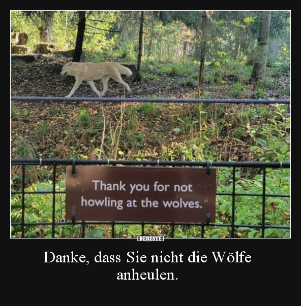 Danke, dass Sie nicht die Wölfe anheulen... - Lustige Bilder | DEBESTE.de