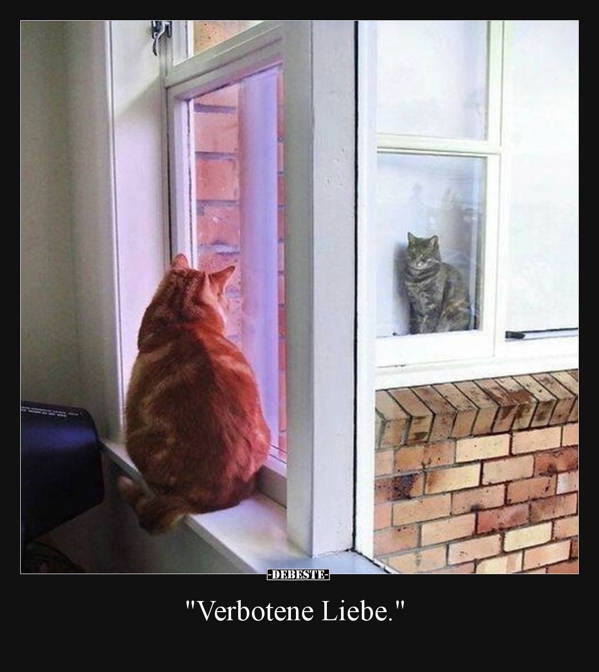 Verbotene Liebe