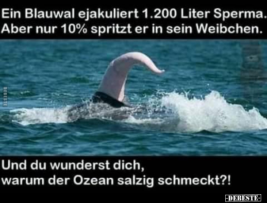 Ein Blauwal ejakuliert 1.200 Liter Sperma. Aber nur 10%.. - Lustige Bilder | DEBESTE.de