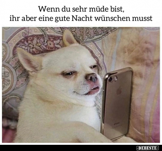 Wenn du sehr müde bist, ihr aber eine gute Nacht wünschen.. - Lustige Bilder | DEBESTE.de