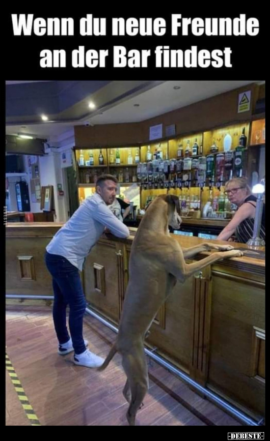 Wenn du neue Freunde an der Bar findest.. - Lustige Bilder | DEBESTE.de