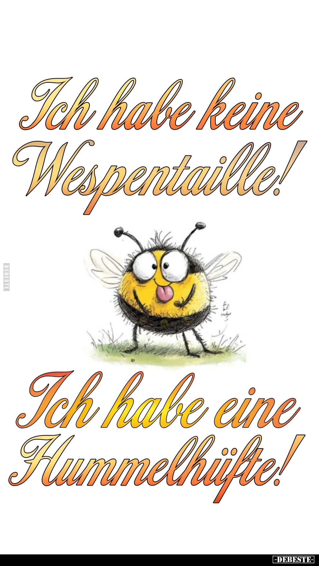 Ich habe keine Wespentaille!
Ich habe eine Hummelhüfte!