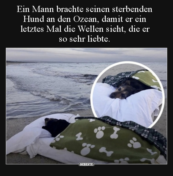 Ein Mann brachte seinen sterbenden Hund an den Ozean, damit.. - Lustige Bilder | DEBESTE.de