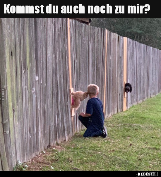 Kommst du auch noch zu mir?..