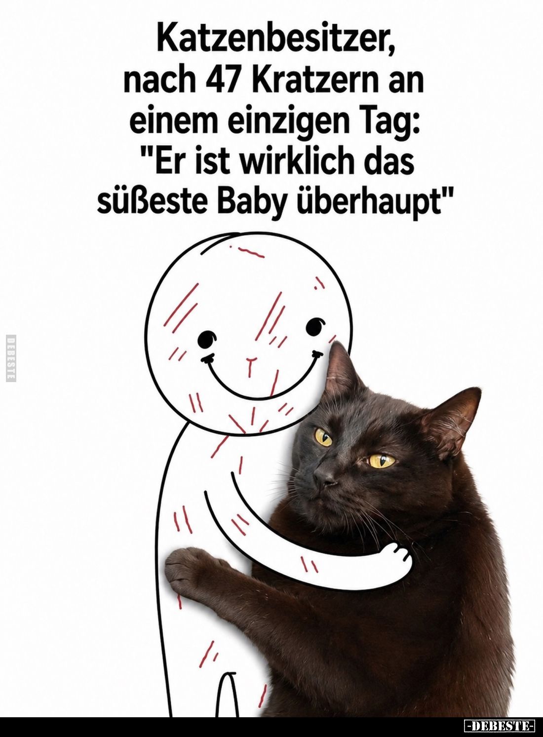 Katzenbesitzer, nach 47 Kratzern an einem einzigen Tag: "Er ist wirklich das süßeste Baby überhaupt"