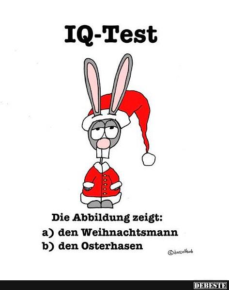 IQ Test - Lustige Bilder | DEBESTE.de
