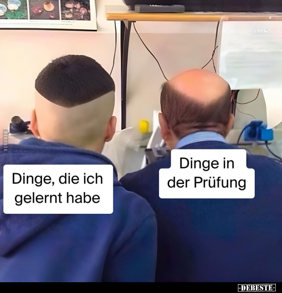 Dinge, die ich gelernt habe.. - Lustige Bilder | DEBESTE.de