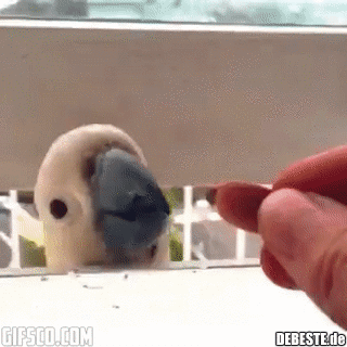 Und ich habe dir vertraut...