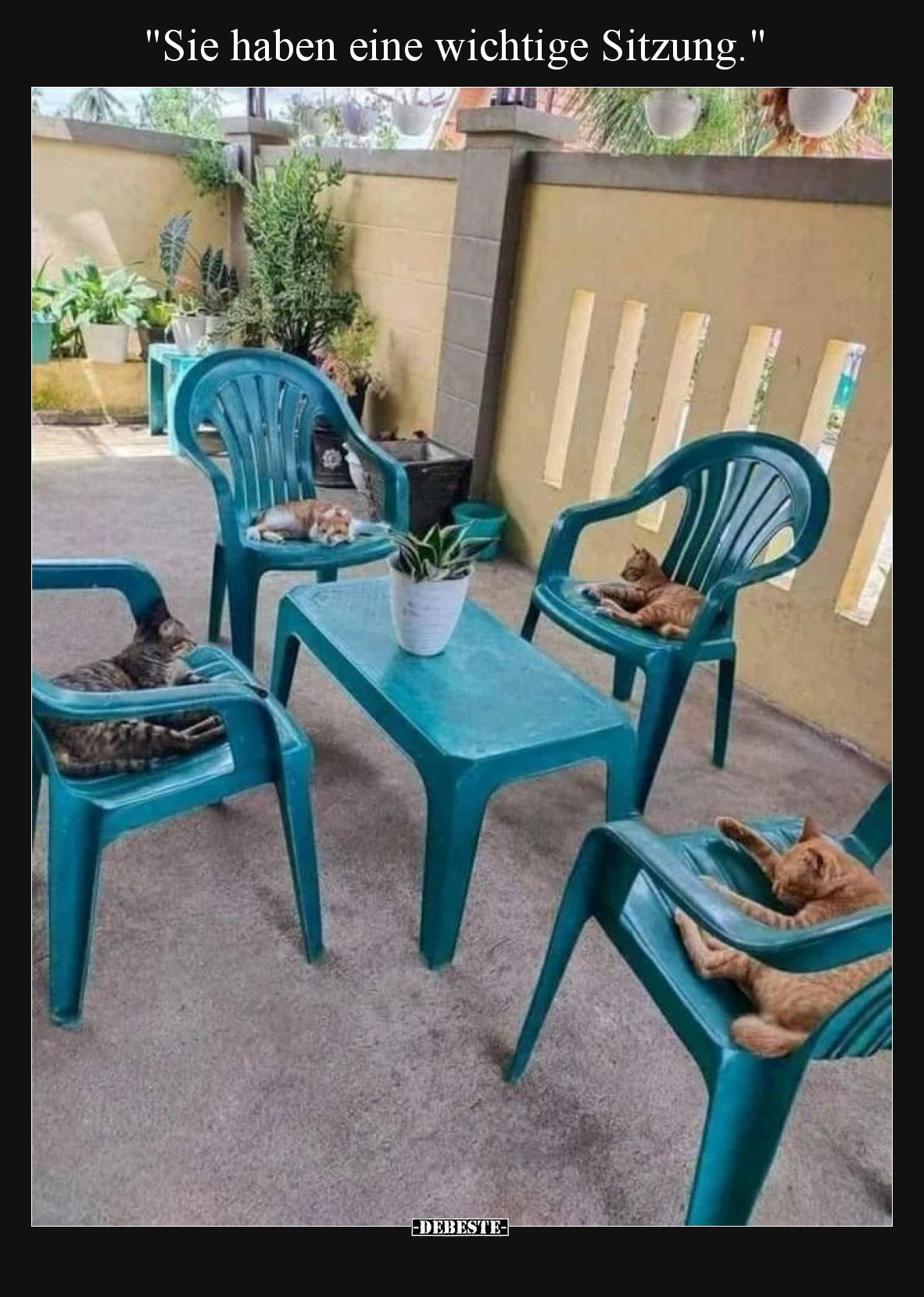 Sie haben eine wichtige Sitzung.