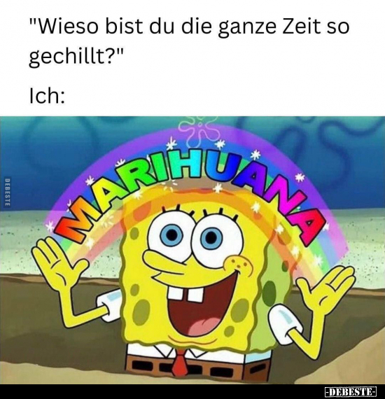 "Wieso bist du die ganze Zeit so gechillt?".. - Lustige Bilder | DEBESTE.de