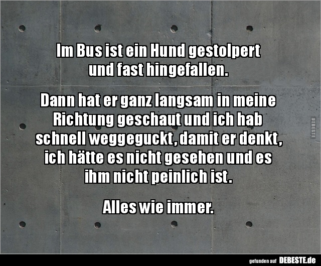 Im Bus ist ein Hund gestolpert  und fast.. - Lustige Bilder | DEBESTE.de