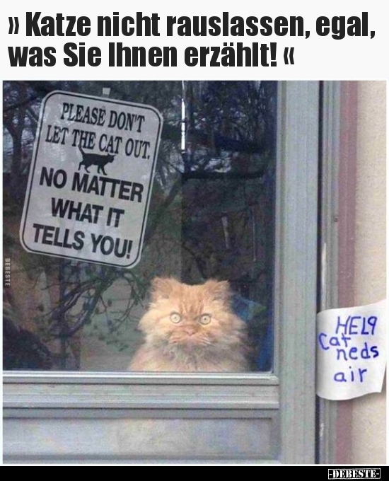 Katze nicht rauslassen, egal, was Sie Ihnen erzählt!.. - Lustige Bilder | DEBESTE.de