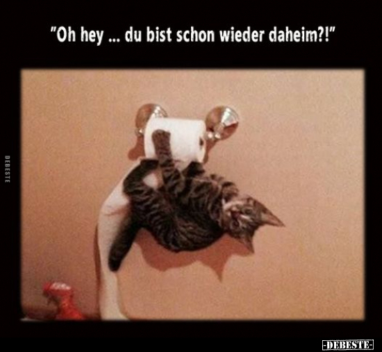 "Oh hey... du bist schon wieder daheim?!".. - Lustige Bilder | DEBESTE.de