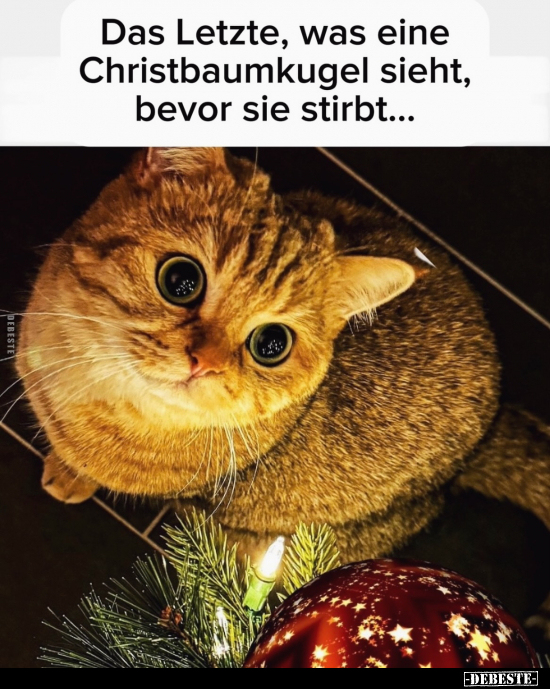 Das Letzte, was eine Christbaumkugel sieht.. - Lustige Bilder | DEBESTE.de