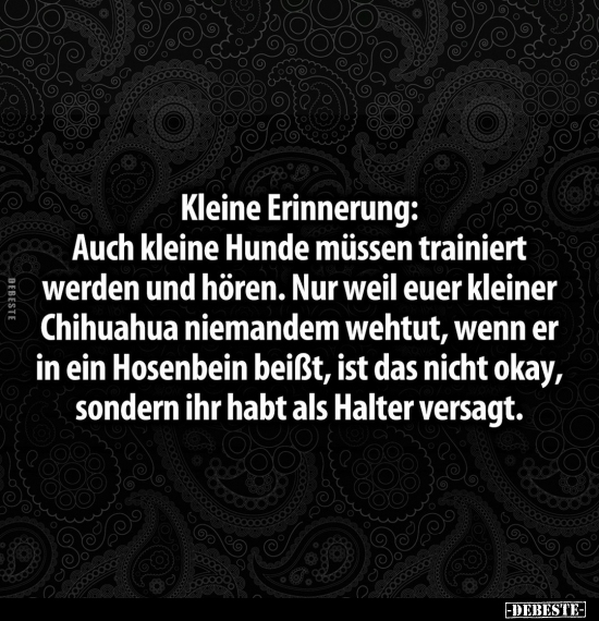 Kleine Erinnerung: Auch kleine Hunde müssen trainiert.. - Lustige Bilder | DEBESTE.de