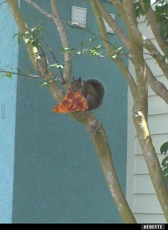  - Lustige Bilder | DEBESTE.de