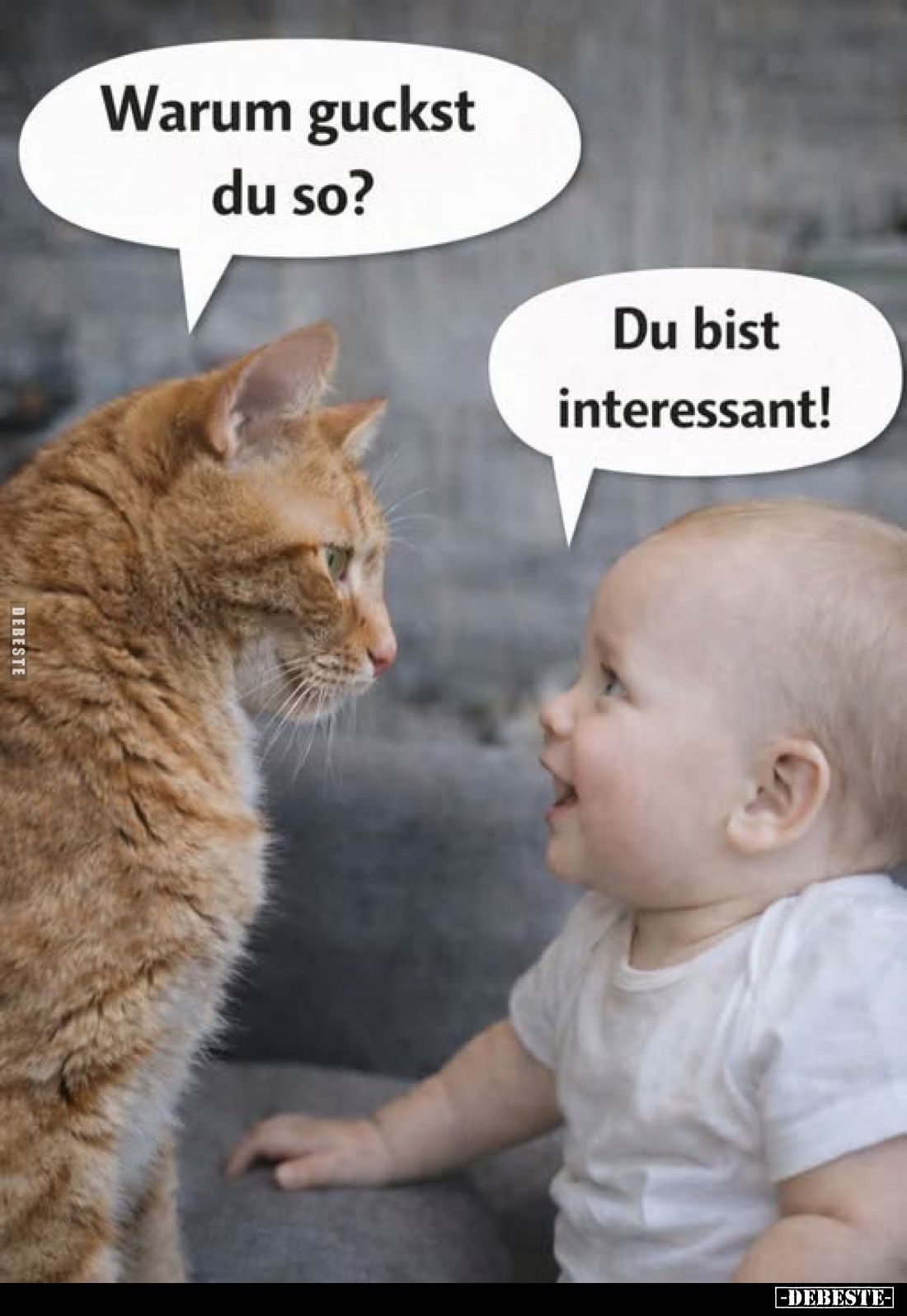 Warum guckst du so?
Du bist interessant!