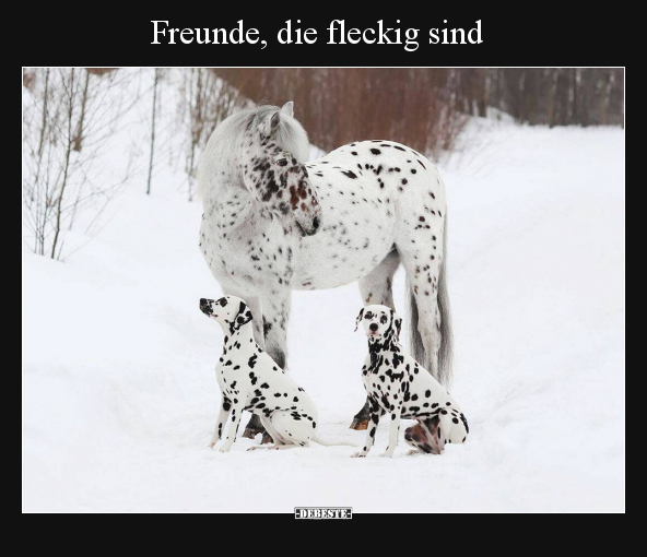 Freunde, die fleckig sind.. - Lustige Bilder | DEBESTE.de