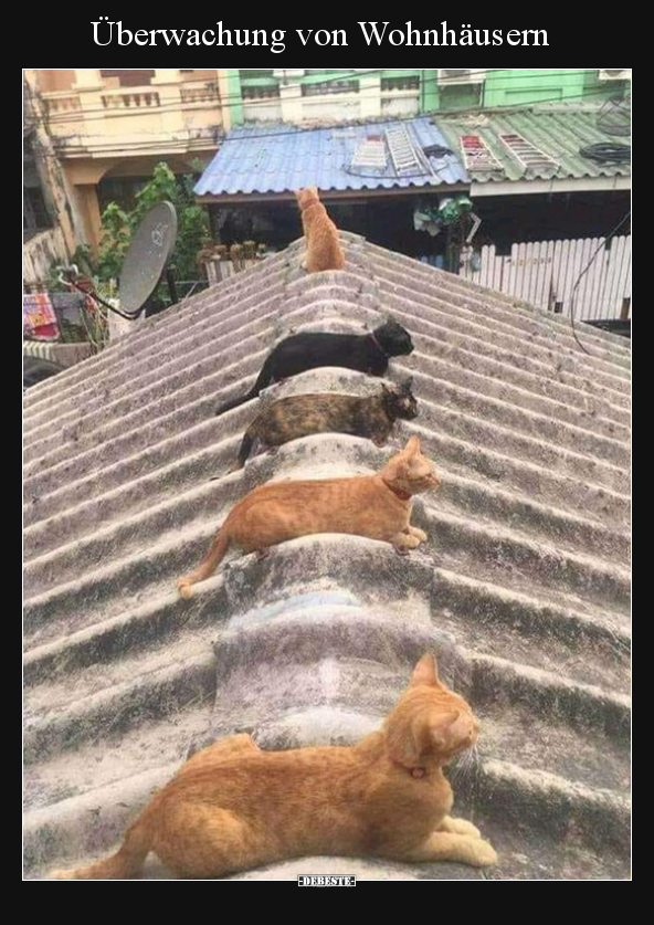 Überwachung von Wohnhäusern