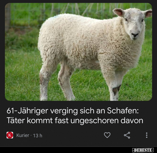 61-Jähriger verging sich an Schafen: Täter kommt fast.. - Lustige Bilder | DEBESTE.de