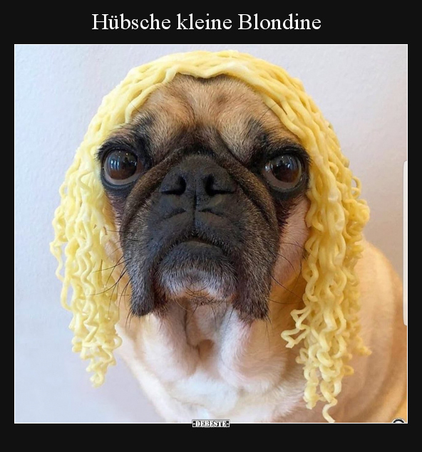 Hübsche kleine Blondine.. - Lustige Bilder | DEBESTE.de