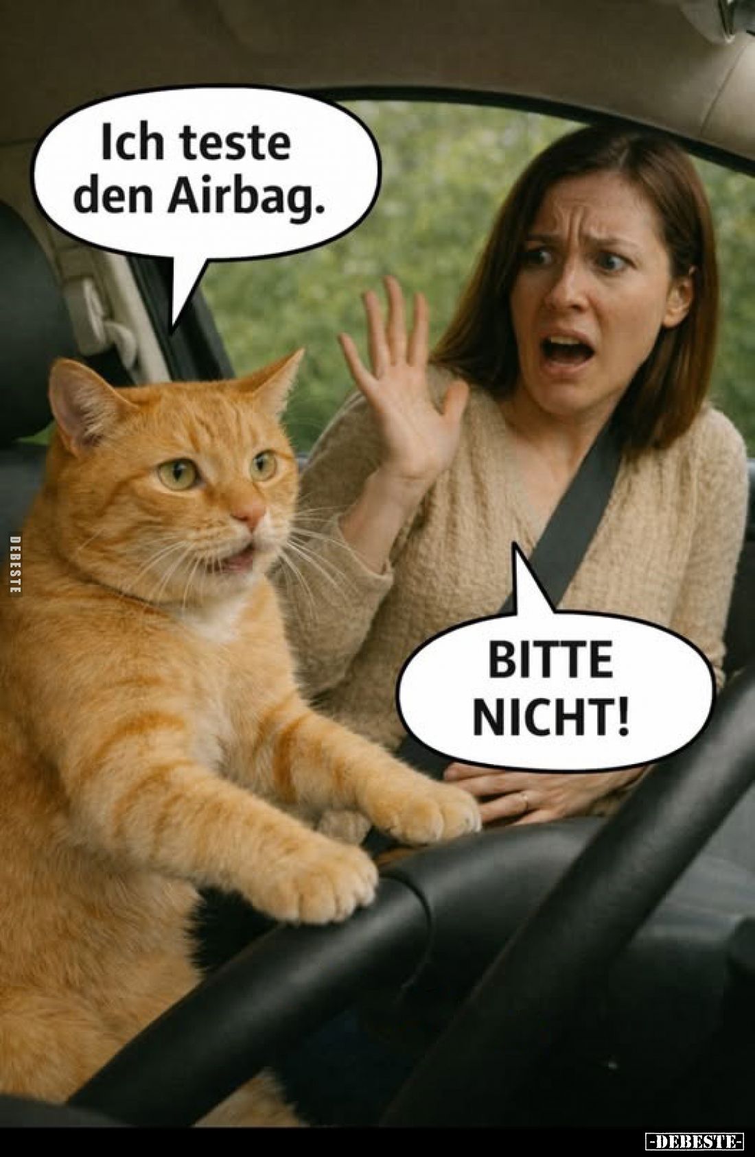 Ich teste den Airbag.
-
BITTE NICHT!