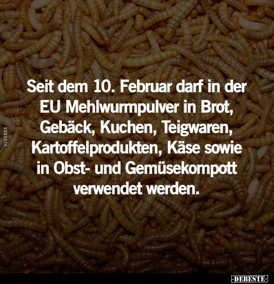 Februar, Brot, Kuchen, Käse, Obst