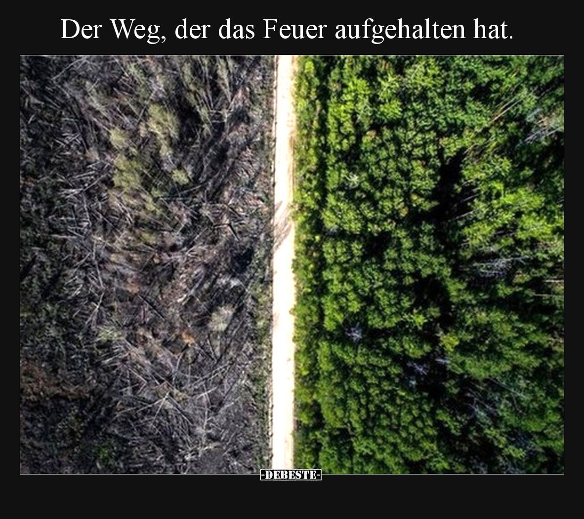 Der Weg, der das Feuer aufgehalten hat... - Lustige Bilder | DEBESTE.de