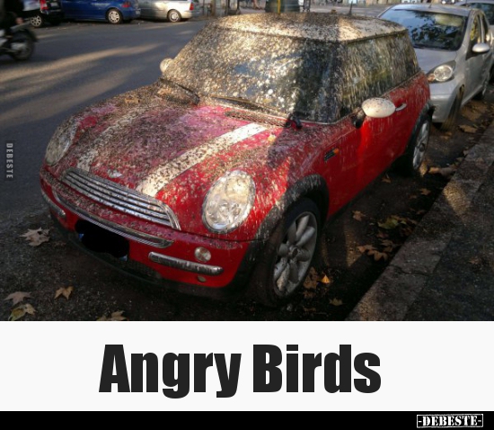 Angry Birds.. - Lustige Bilder | DEBESTE.de