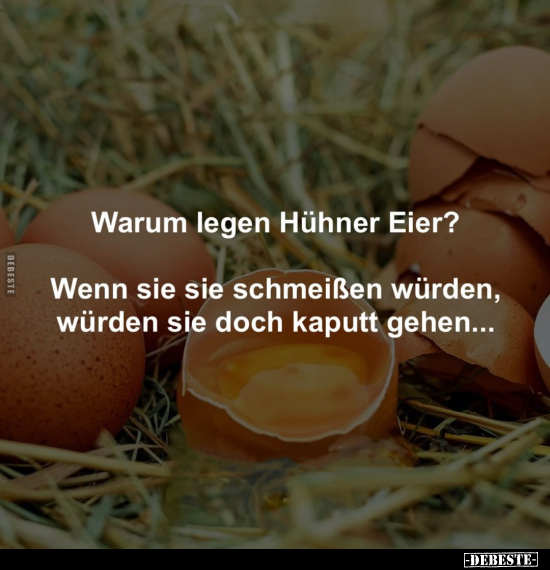 Warum legen Hühner Eier?.. - Lustige Bilder | DEBESTE.de