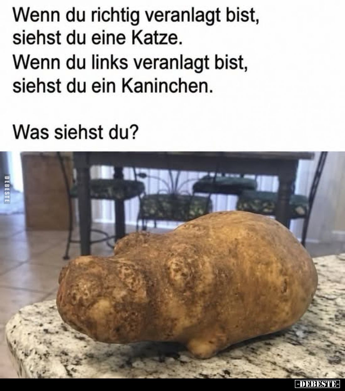 Wenn du richtig veranlagt bist, siehst du eine Katze. -
Wenn du links veranlagt bist, siehst du ein Kaninchen. -
Was siehst...