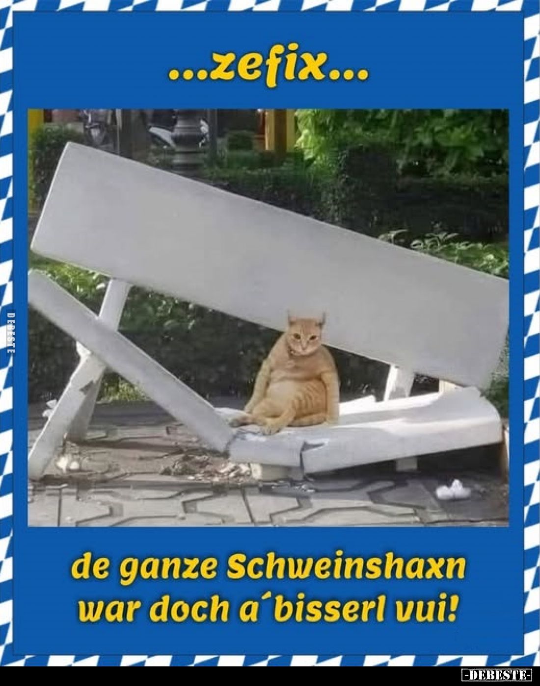 Zefix...
de ganze Schweinshaxn war doch a bisserl vui.