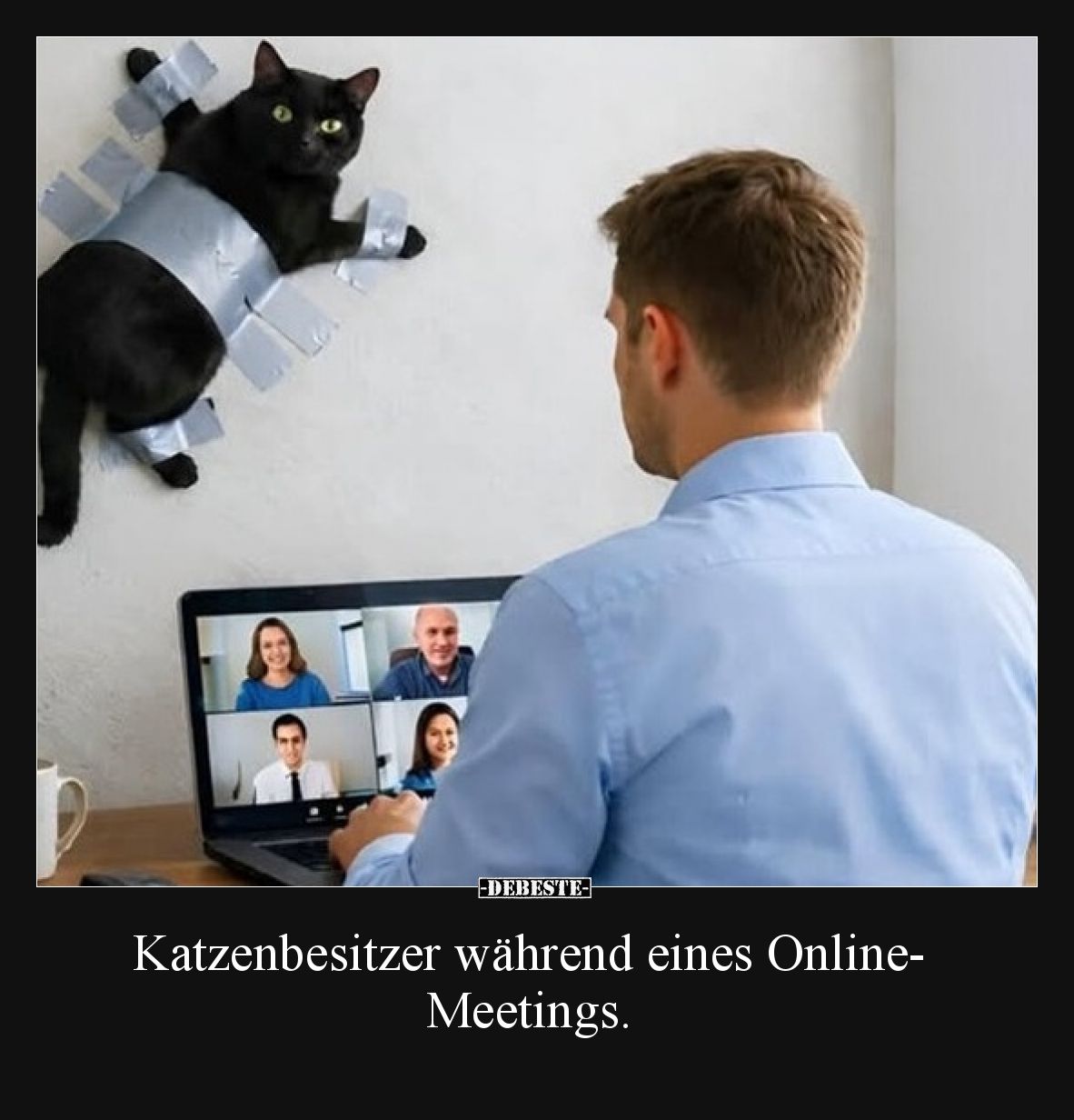 Katzenbesitzer während eines Online- Meetings... - Lustige Bilder | DEBESTE.de