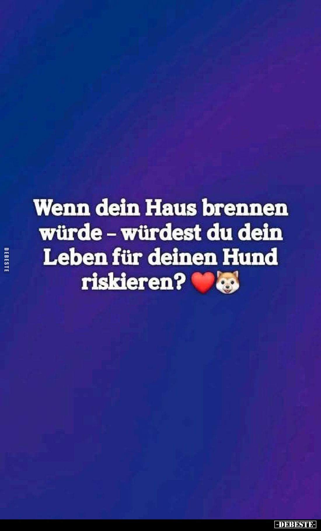 Wenn dein Haus brennen würde - würdest du dein Leben für deinen Hund riskieren?