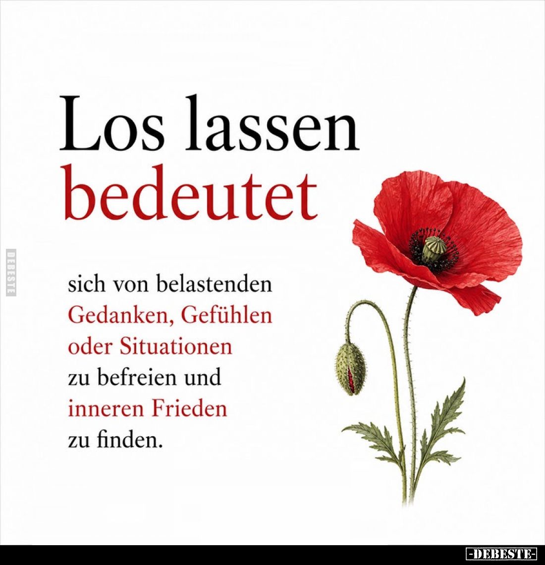 Los lassen bedeutet
sich von belastenden Gedanken, Gefühlen oder Situationen zu befreien und inneren Frieden zu finden.