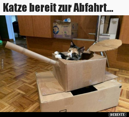 Katze bereit zur Abfahrt... - Lustige Bilder | DEBESTE.de